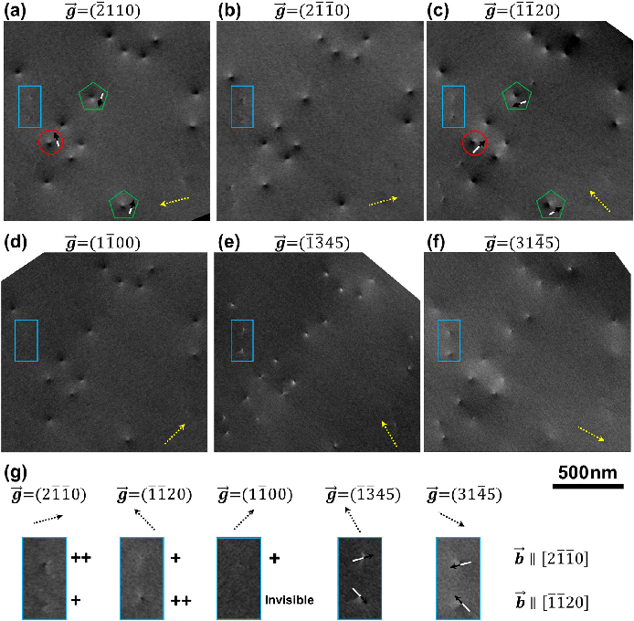 场发射河南扫描电镜