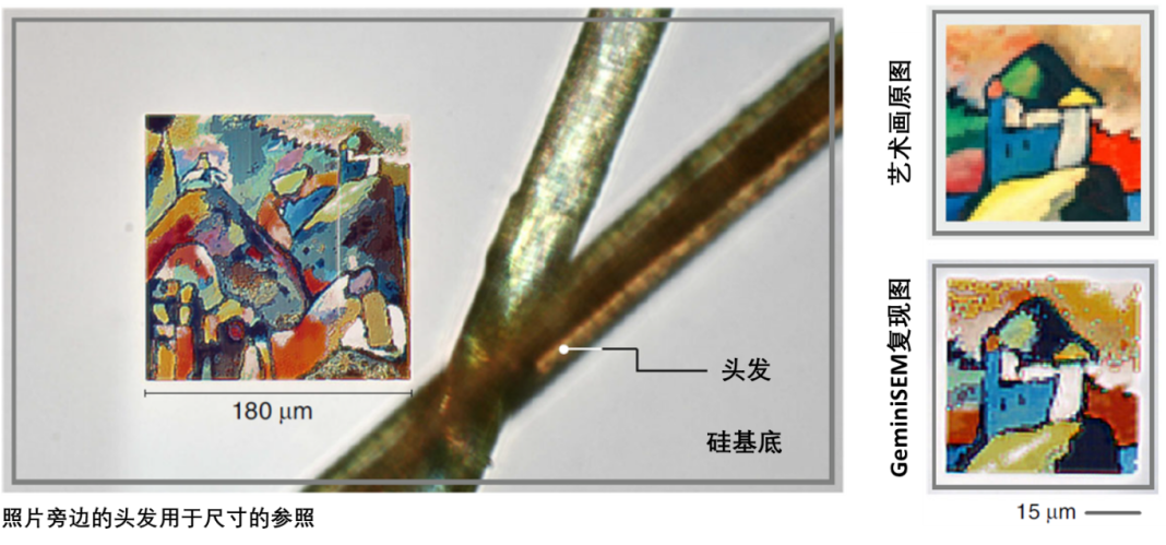 河南蔡司河南扫描电镜